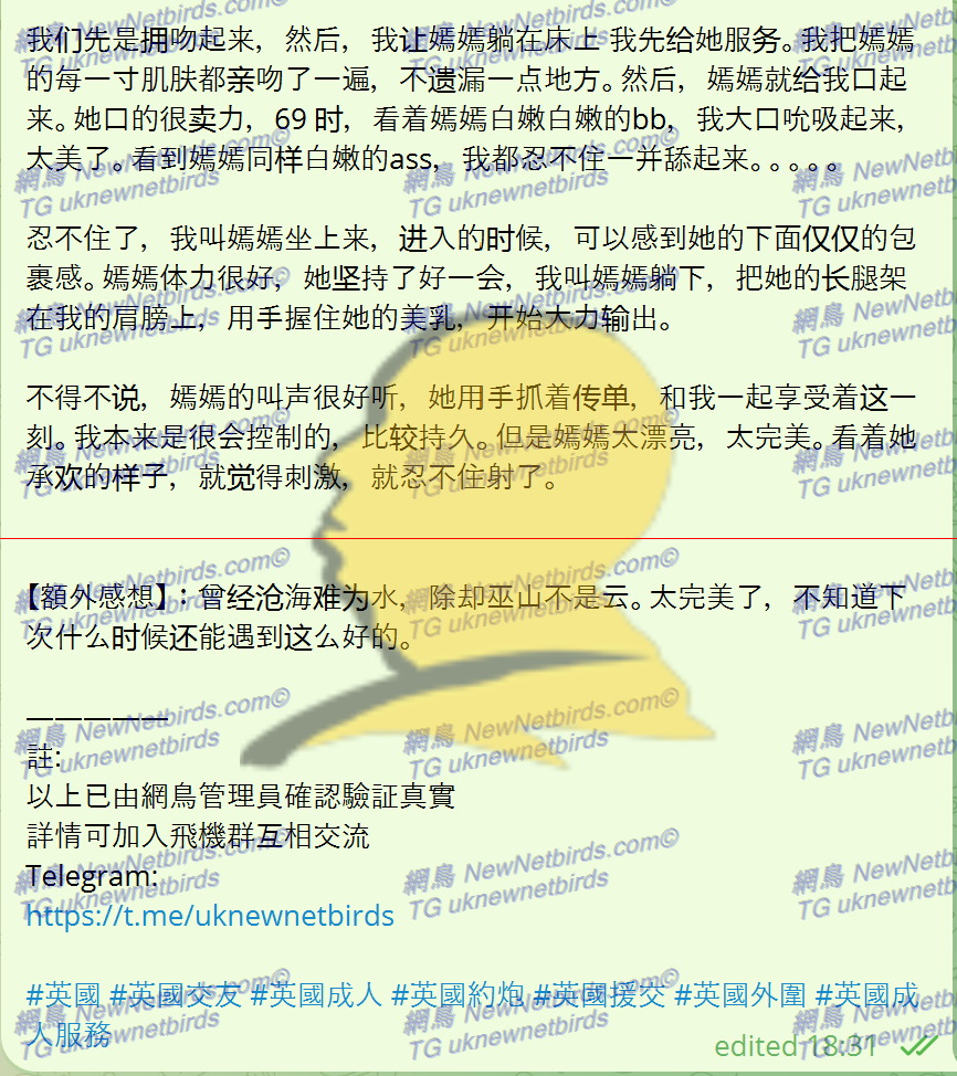 戰號 381 3.png